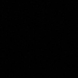 Meet your Posher, Shea